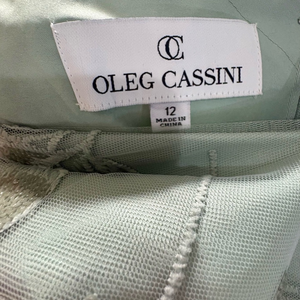 Beautiful dusty sage mother of the bride dress. - Picture 10 of 12